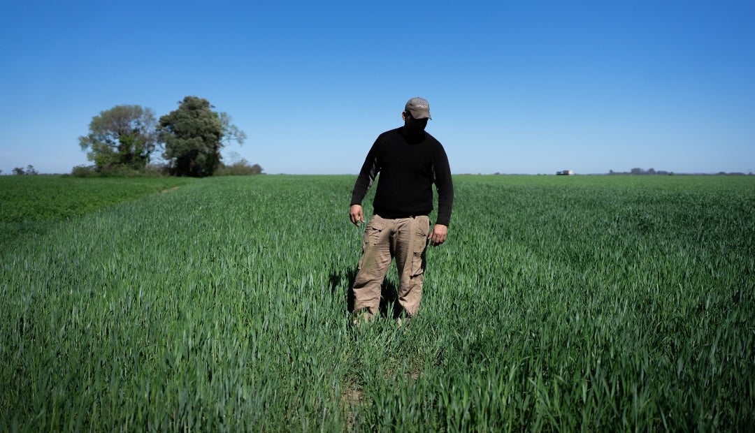 Milei promulgó una reducción generalizada de los aranceles aplicados a los exportadores agrícolas