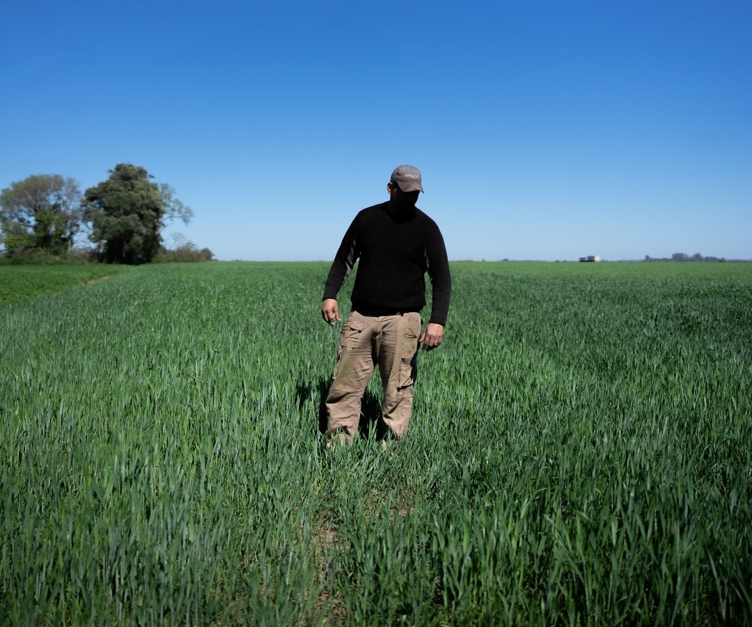 Milei promulgó una reducción generalizada de los aranceles aplicados a los exportadores agrícolas