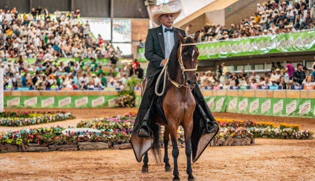 Las ferias equinas impactarán la economía de 19 departamentos de Colombia