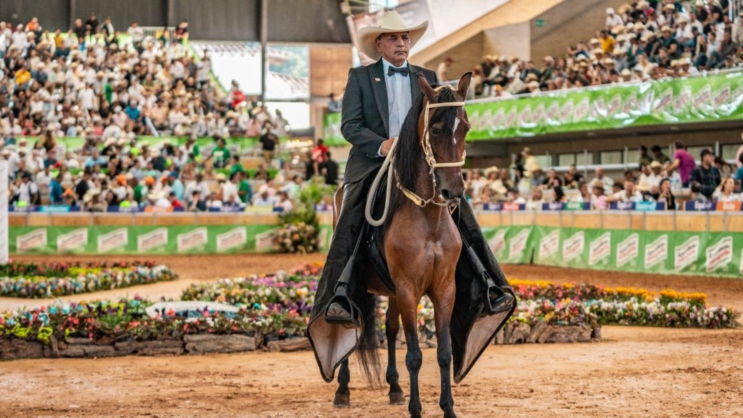 Las ferias equinas impactarán la economía de 19 departamentos de Colombia
