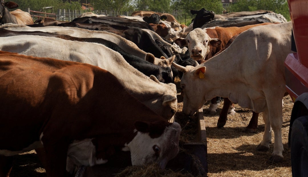 Colombia fue uno de los países que suscribió un compromiso en la Convención de Cambio Climático para reducir la deforestación a cero hacia 2030