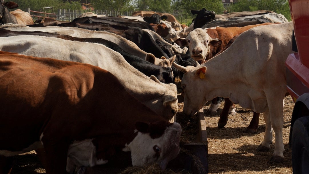 Colombia fue uno de los países que suscribió un compromiso en la Convención de Cambio Climático para reducir la deforestación a cero hacia 2030