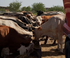 Colombia fue uno de los países que suscribió un compromiso en la Convención de Cambio Climático para reducir la deforestación a cero hacia 2030 Colombia fue uno de los países que suscribió un compromiso en la Convención de Cambio Climático para reducir la deforestación a cero hacia 2030