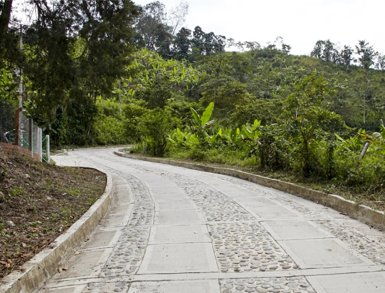 Cemex presentó los resultados de su estrategia Vías Rurales