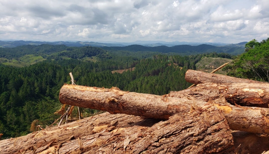 La demanda de nulidad es un llamado a brindar una seguridad jurídica real a los colombianos, en la que puedan confiar sus inversiones con respecto a reindustrialización
