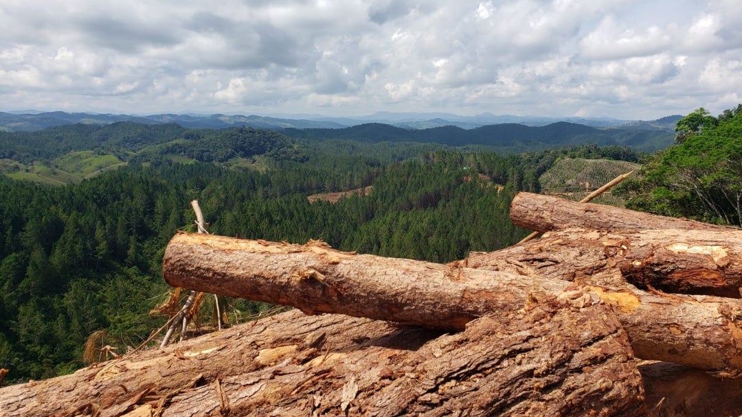La demanda de nulidad es un llamado a brindar una seguridad jurídica real a los colombianos, en la que puedan confiar sus inversiones con respecto a reindustrialización