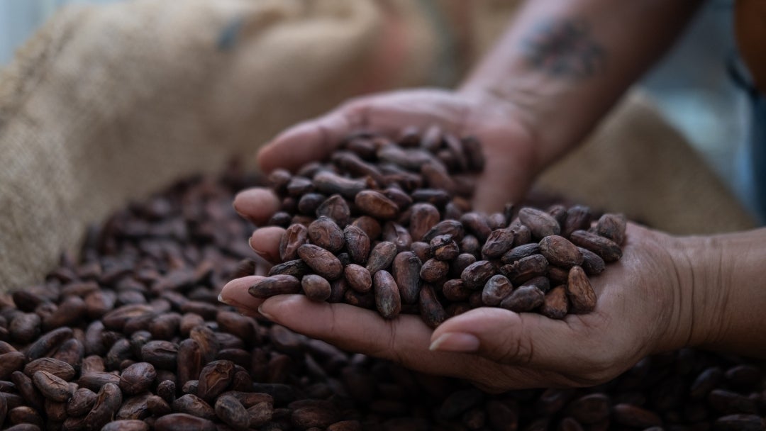 Los futuros del cacao subieron 1,1%, hasta los US$6.066 por tonelada en Nueva York