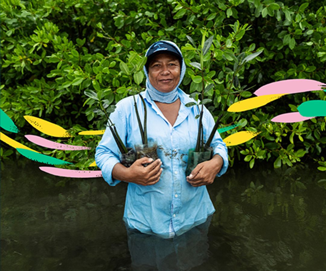 La Cuenta del Mar ya alcanzó 60% de su meta trazada para 2030