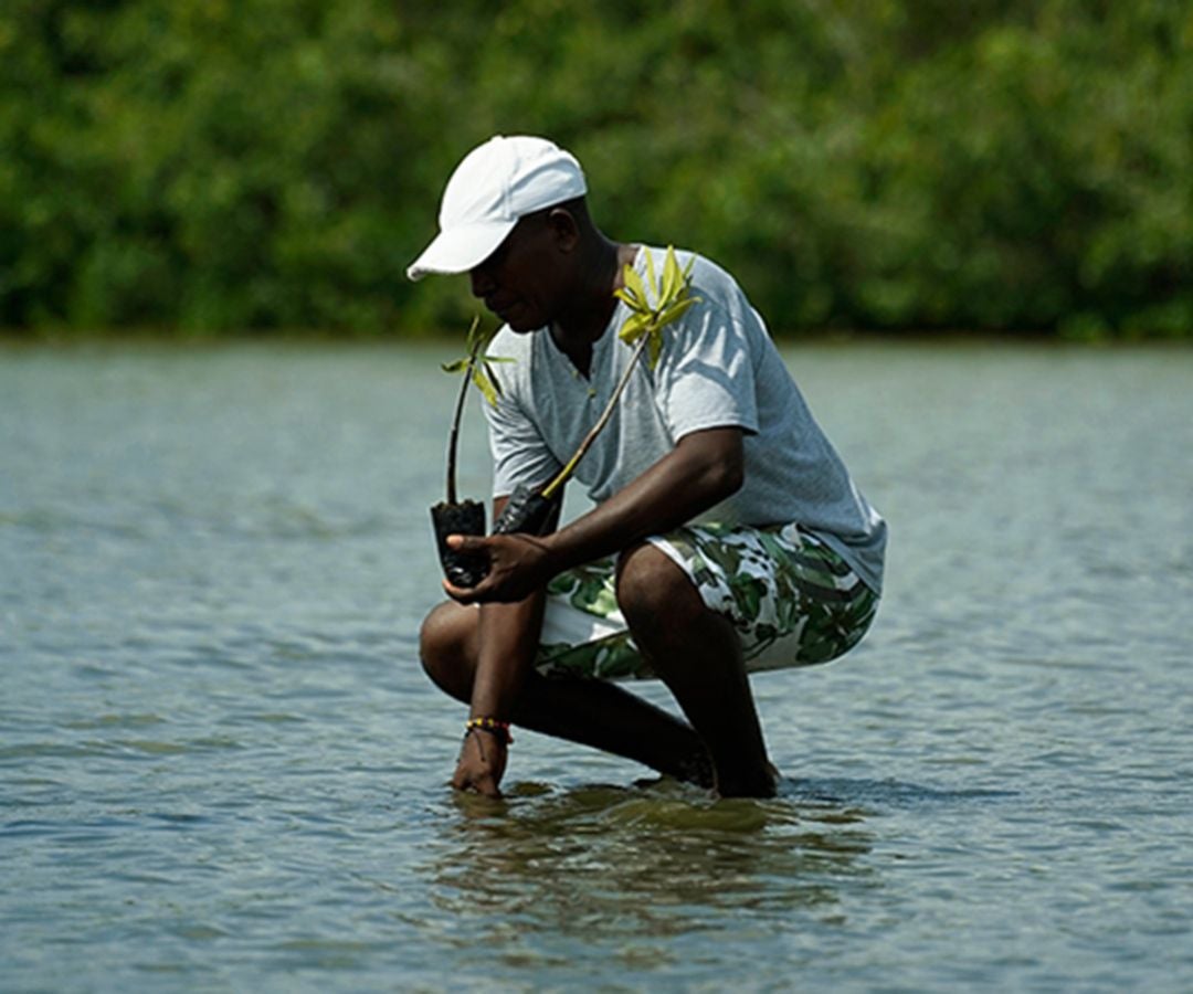 Líderes y emprendedores se benefician con el impacto de esta iniciativa