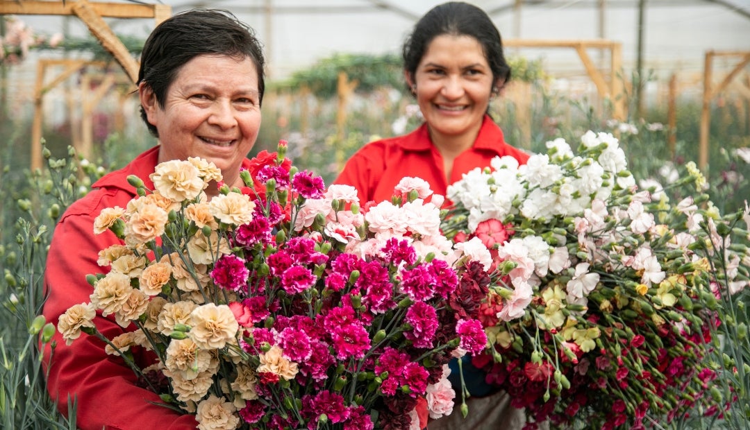Más de 70% de los cultivos para exportación tienen FSF, consolidándose como el sello de los estándares en buenas prácticas para los envíos