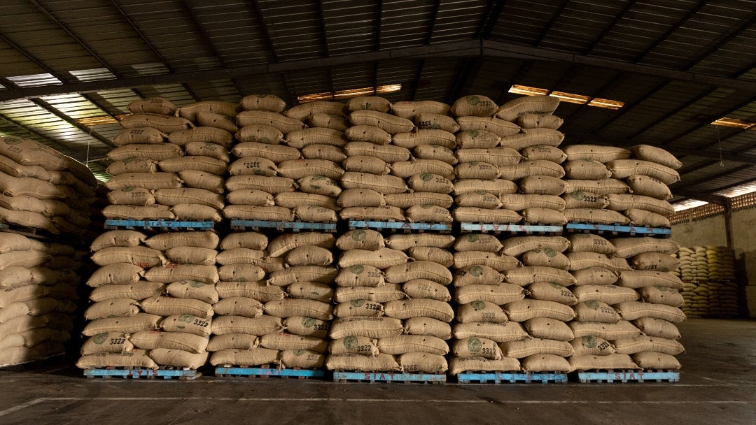 Los precios internacionales del cacao se han reducido a la mitad, mientras las cosechas mejoran y el consumo de chocolate se reduce