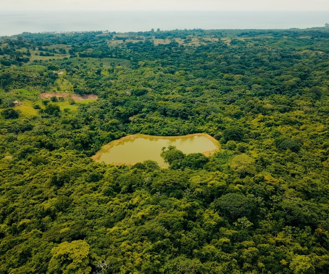 Se construyó el reservorio de agua para especies y un banco de semillas en busca de la conservación de la genética del ecosistema