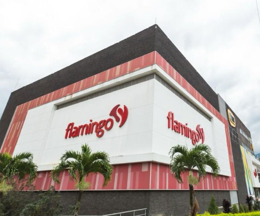 Flamingo cerró con éxito su recuperación empresarial y fortalece sus proyecciones