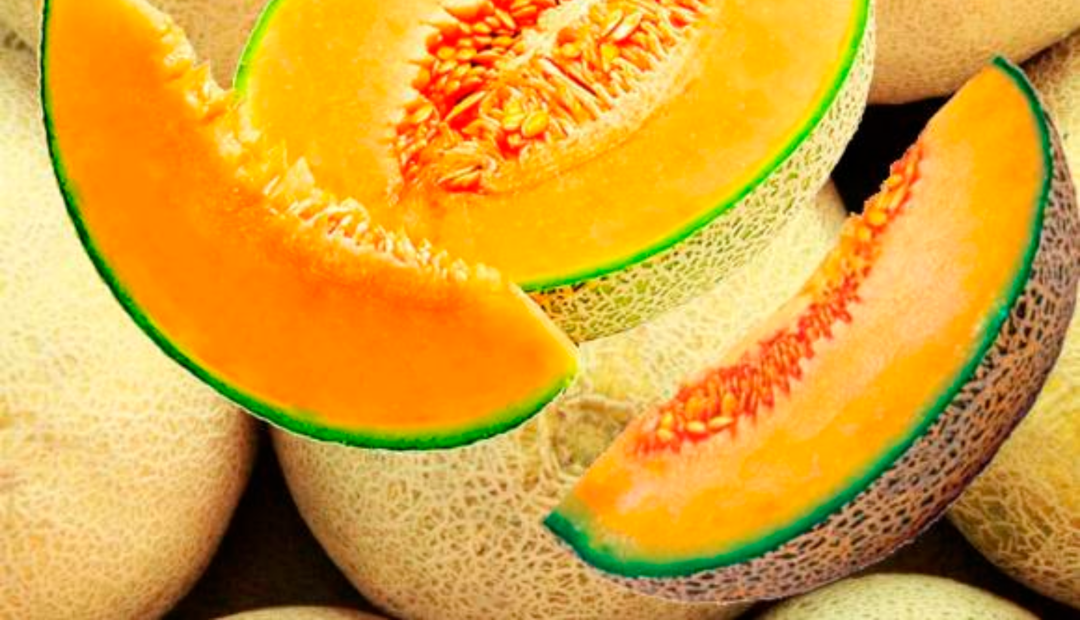 Melón