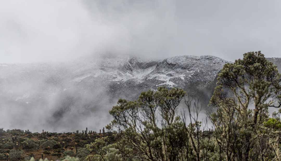 Parque Nacional Natural Los Nevados