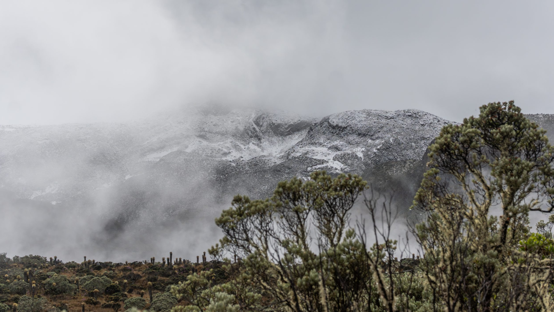 Parque Nacional Natural Los Nevados