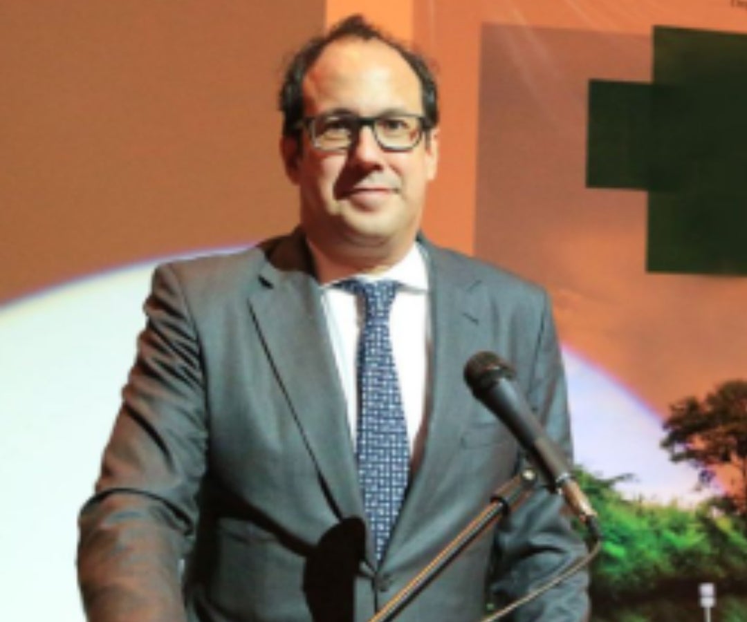 Alberto Montaña Plata, Vicepresidente del Consejo de Estado