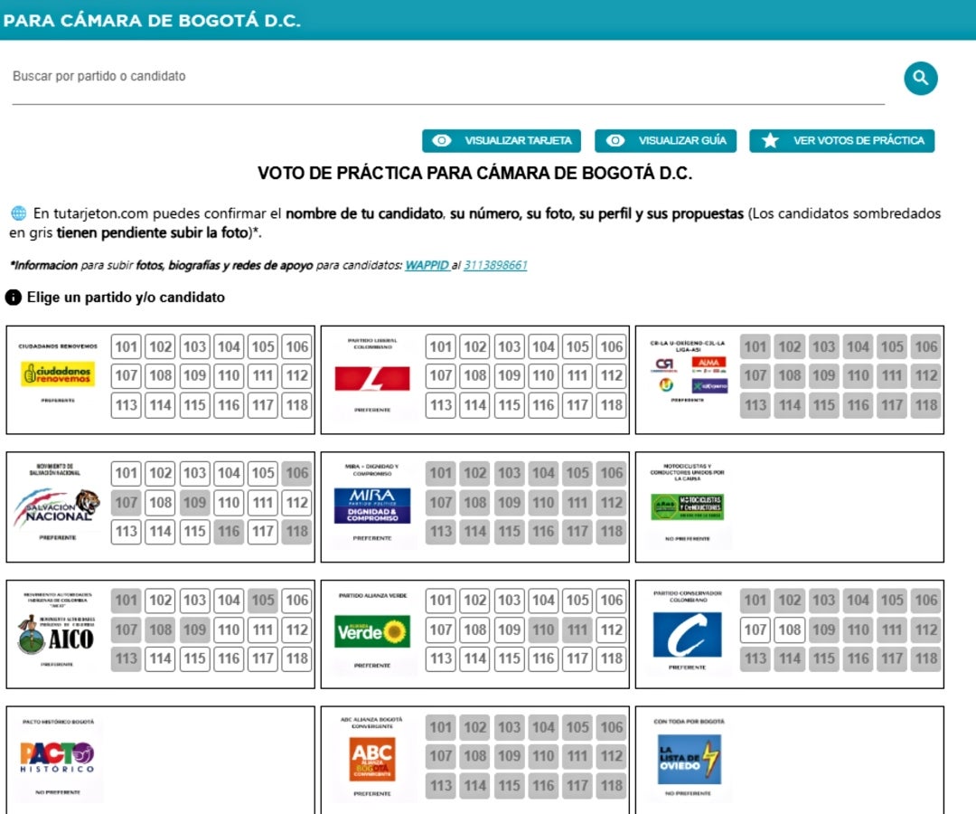 Lanzan plataforma para ensayar cómo votar al Congreso y evitar los votos anulados
