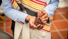 Café en zonas Pdet
