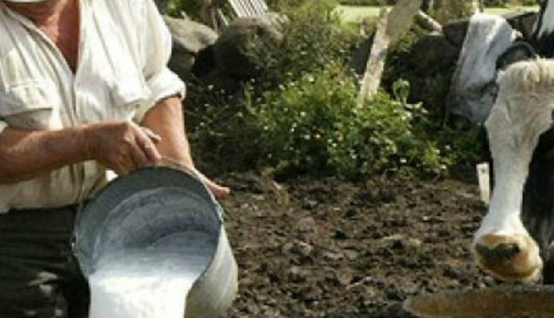 Producción de leche