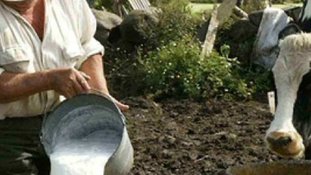 Producción de leche