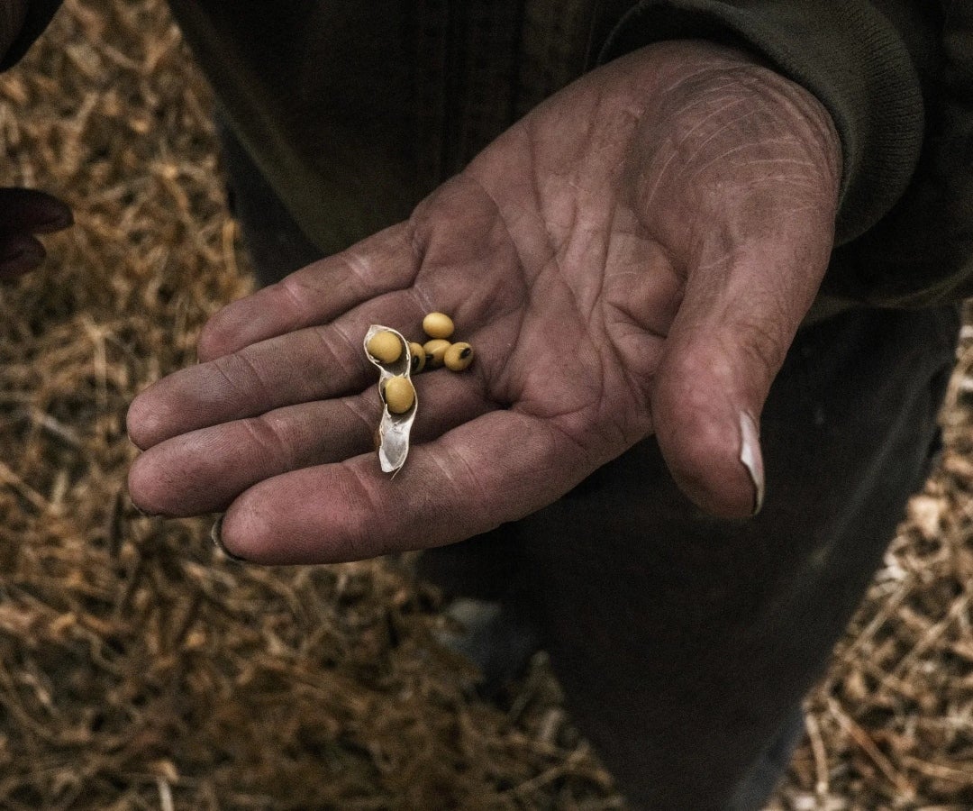 Ministerio abrió convocatoria para apoyar el comercio de frutas, verduras y hortalizas