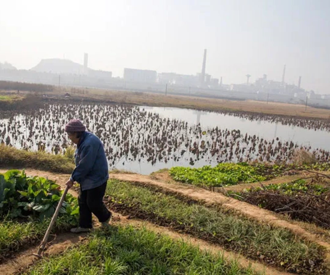Plan de Política rural impulsará seguridad alimentaria e innovación en tecnología agrícola