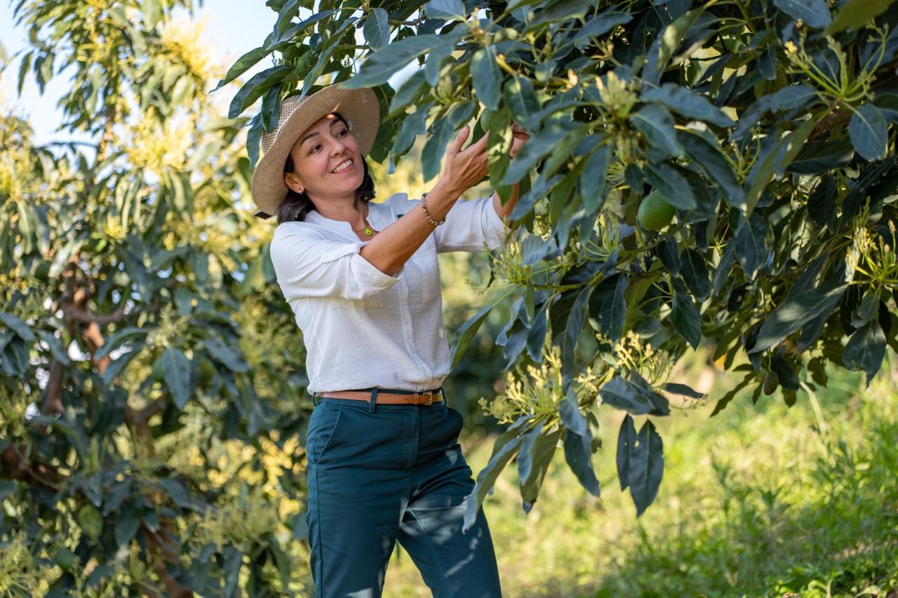Katheryn Mejía Vergel, presidente Ejecutiva de Corpohass