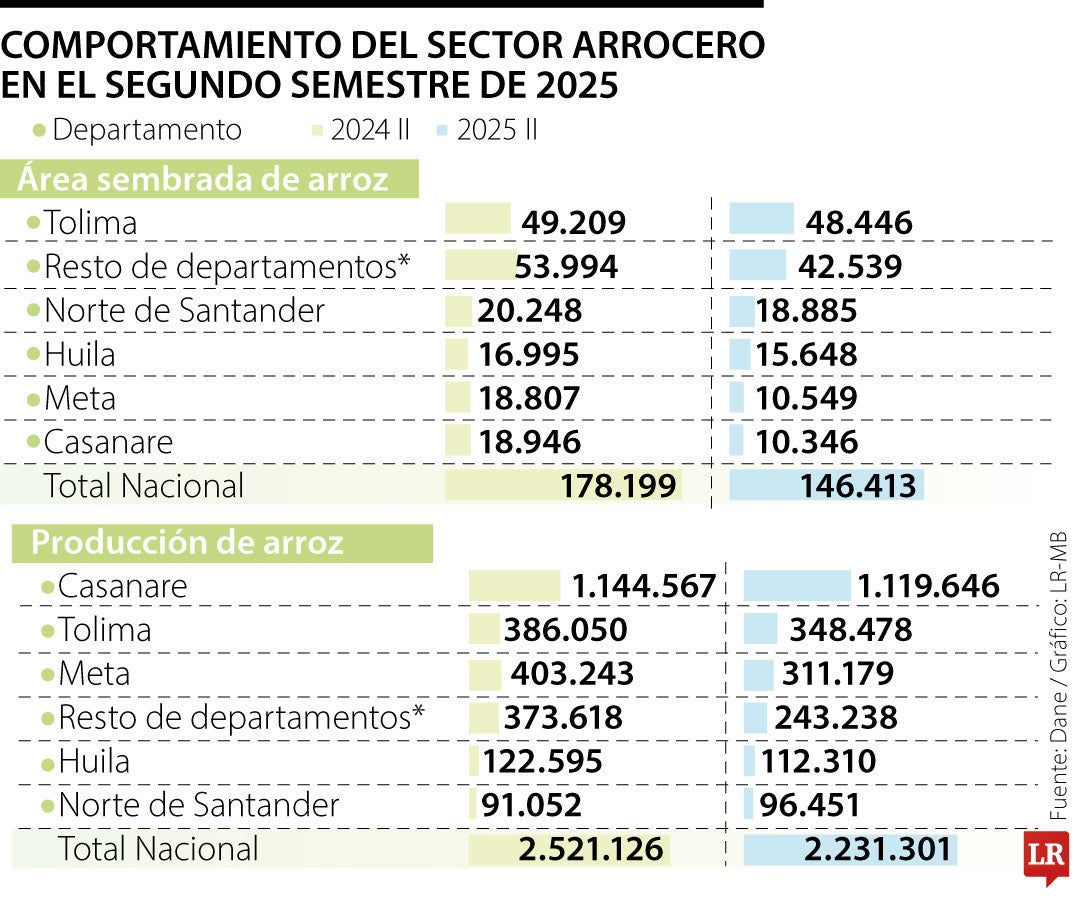 Producción de arroz cayó 289.000 toneladas en el segundo semestre