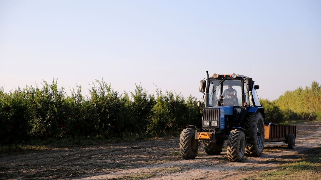 29% de participación de mercado tiene la marca Kubota, la de más ventas en 2025, seguida por John Deere.