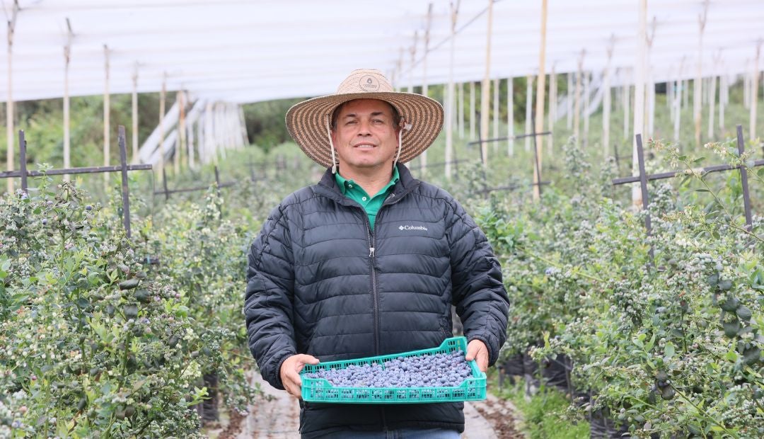 Gabriel Botero, productor y gerente de Asocolblue habló de las perspectivas del mercado.