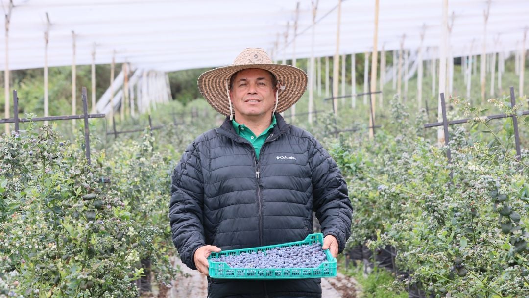 Gabriel Botero, productor y gerente de Asocolblue habló de las perspectivas del mercado.