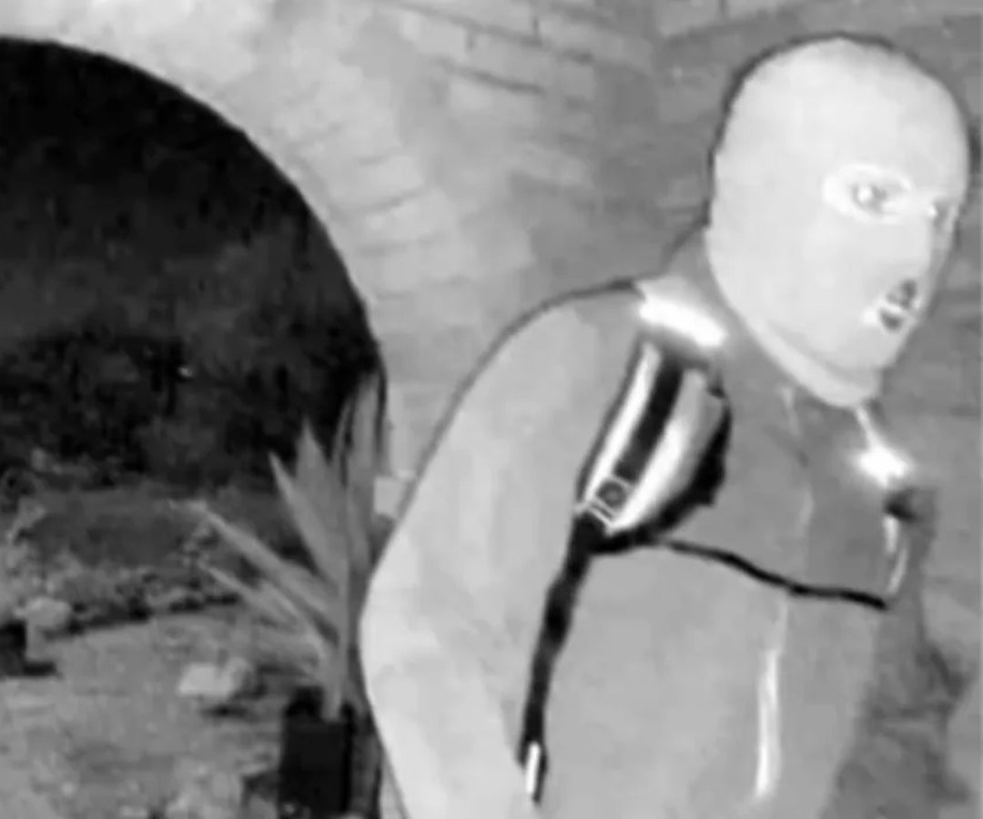 El FBI publica la foto del sospechoso de la desaparición de Nancy Guthrie en Arizona