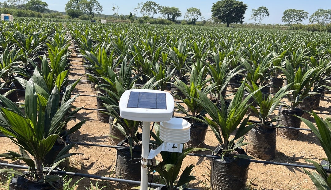 Sensor agrícola