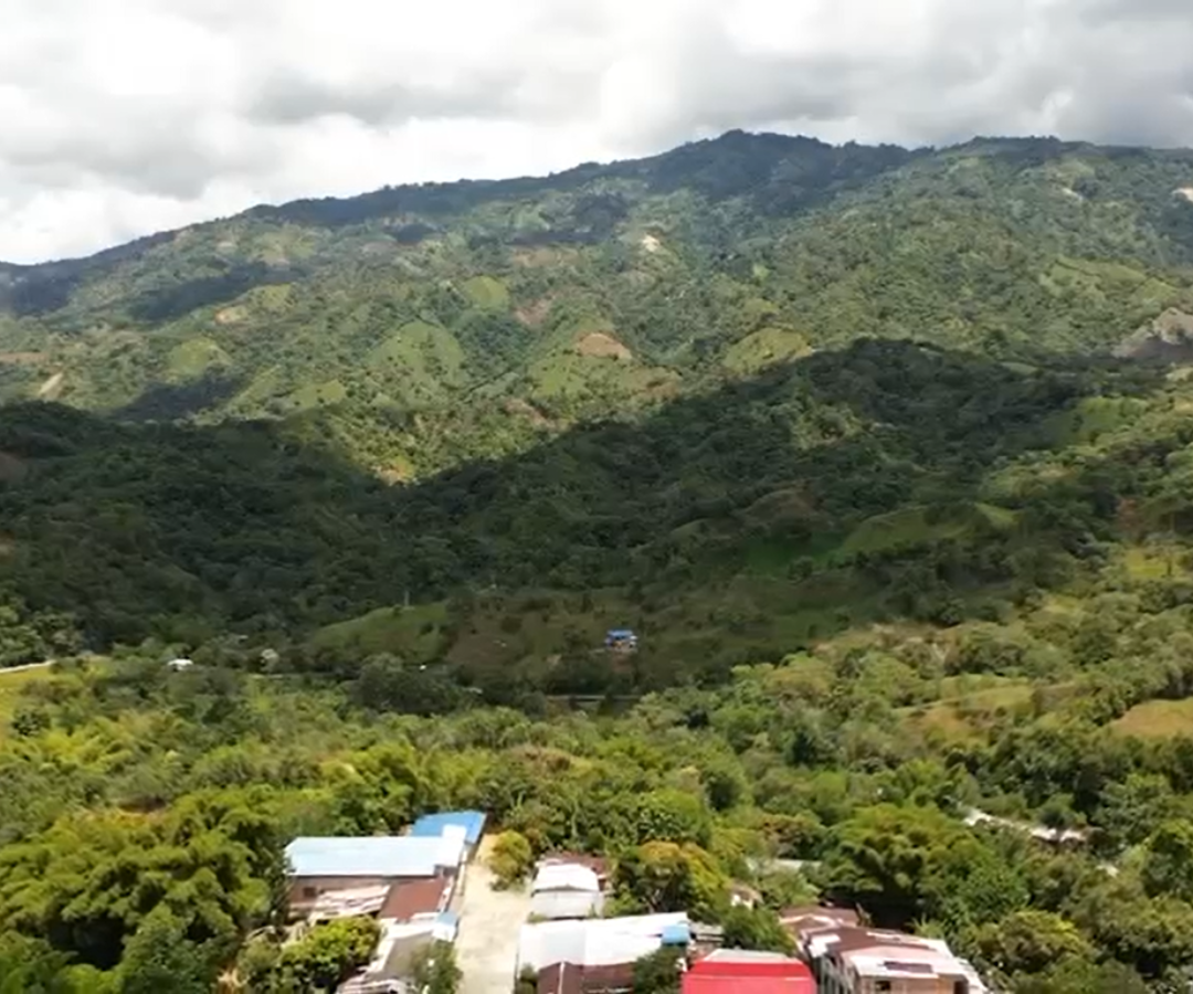 Tierras entregadas en Chaparral, Tolima