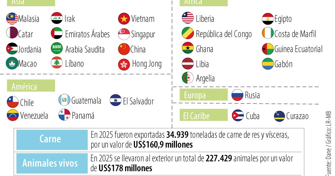 Colombia evalúa prohibir exportaciones de carne bovina