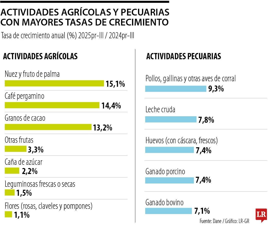 Palma, café, cacao y aves jalonan el crecimiento del sector
