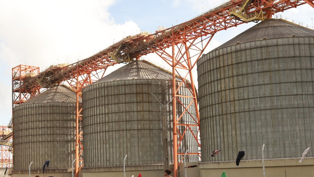 Indígenas y el interés por los granos en Brasil