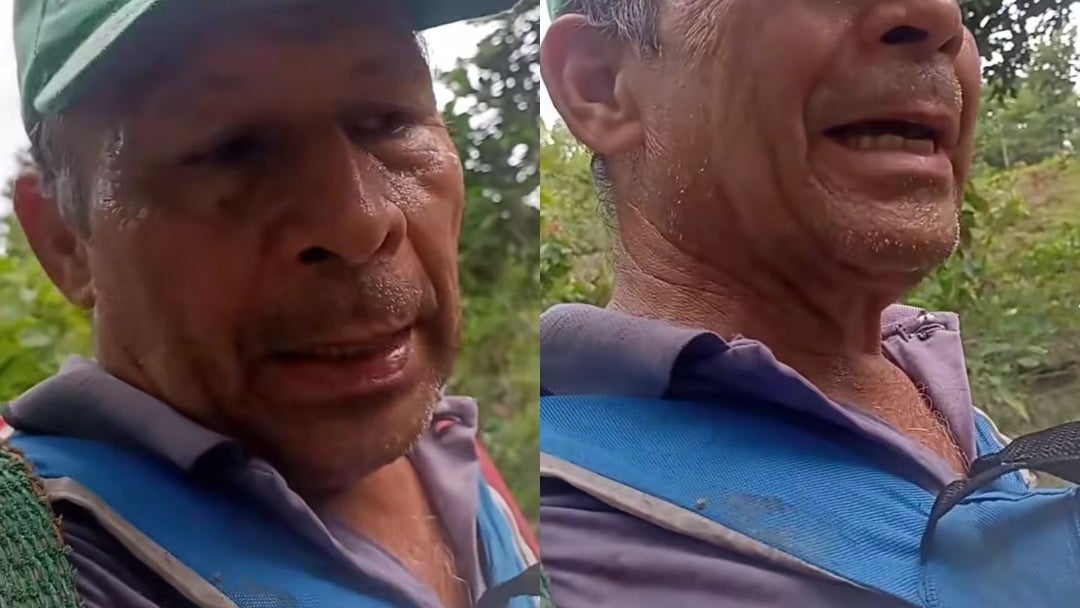 Olivo Rincon, campesino