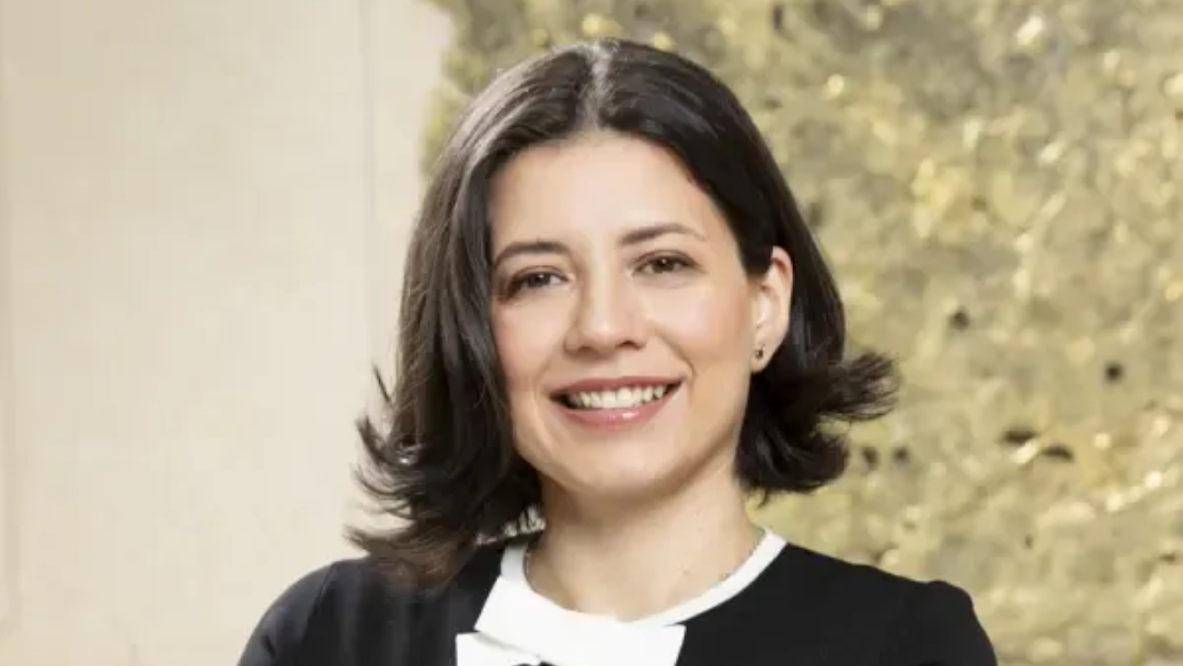 Corina Zambrano, Analac