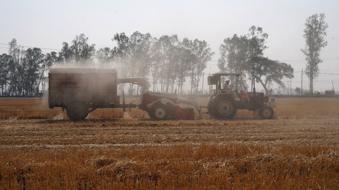 Un agricultor utiliza una segadora de paja para cortar paja de trigo