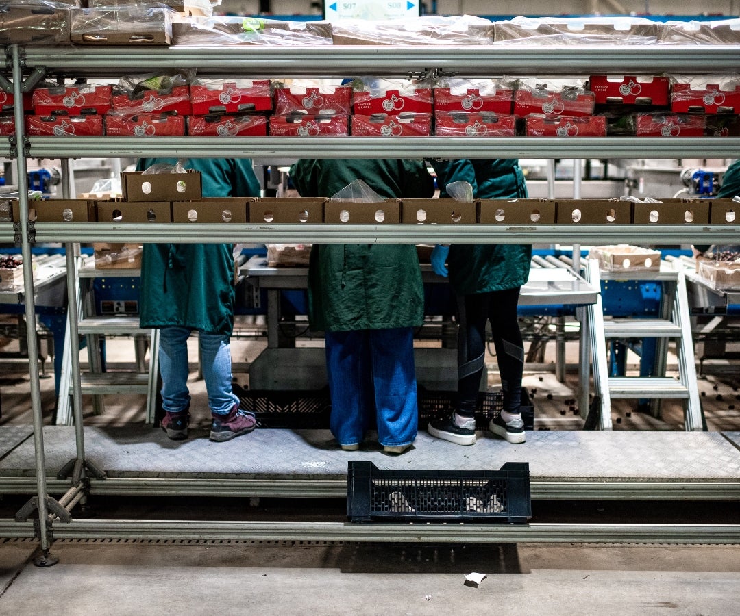 Ventas de cerezas chilenas a China registró una segunda temporada decepcionante