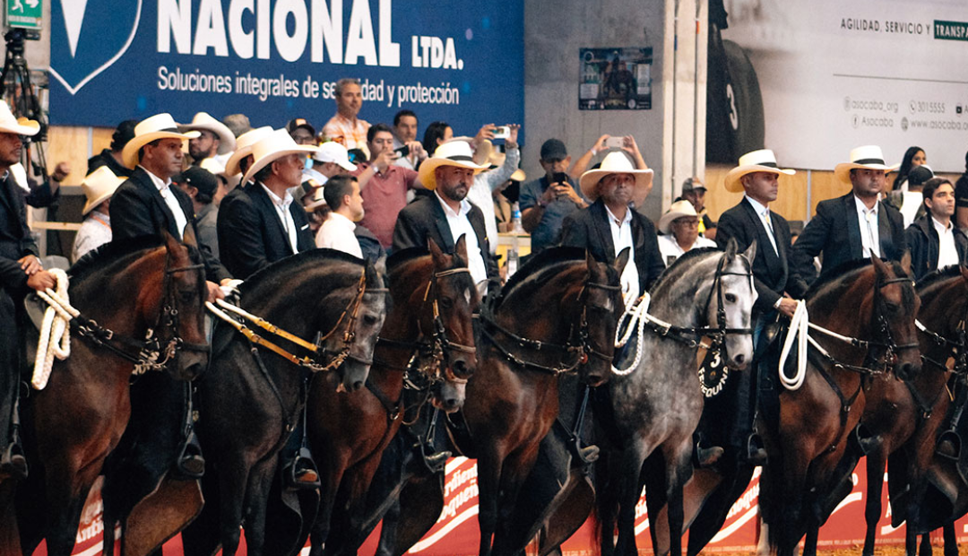 Caballos en ferias de Asdesilla
