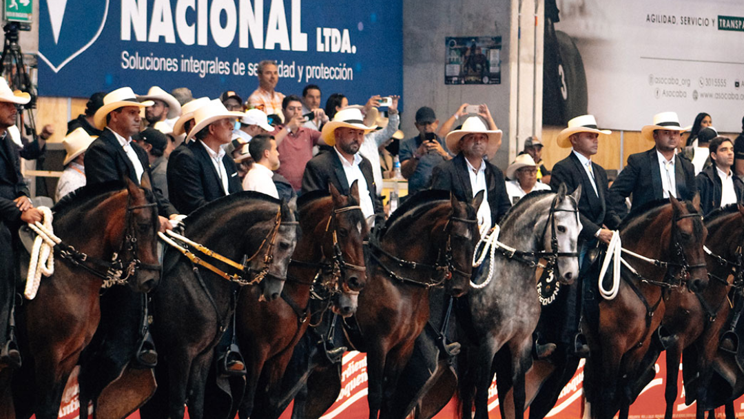 Caballos en ferias de Asdesilla