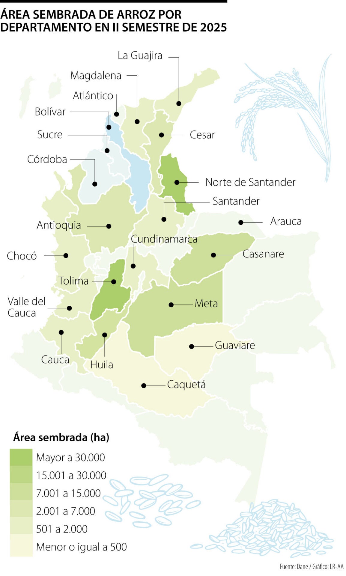 Áreas sembradas de arroz