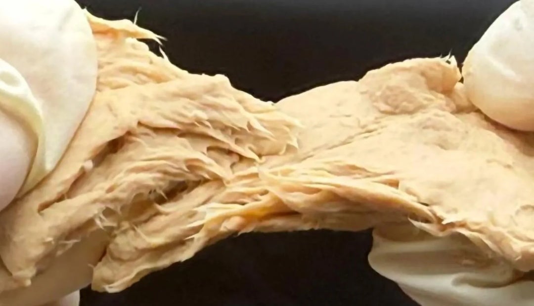 Fusarium venenatum, la micoproteína modificada genéticamente