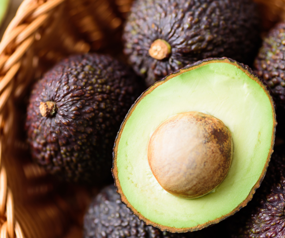 Aguacate Hass