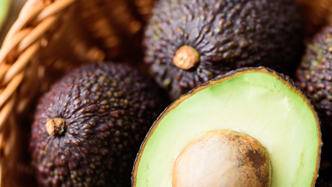 Aguacate Hass