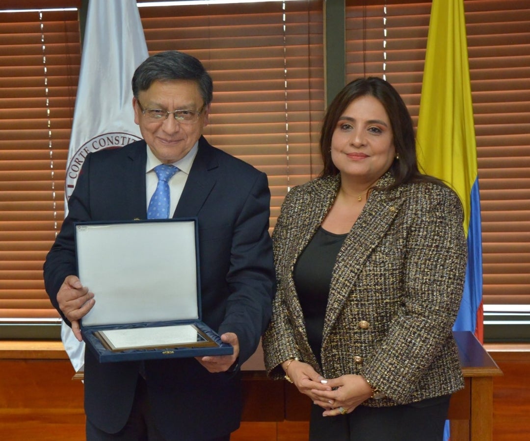 Paola Andrea Meneses, presidenta de la Corte Constitucional