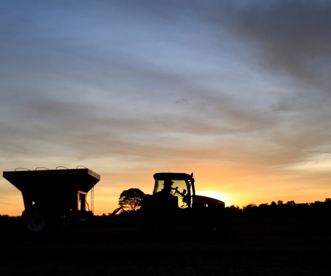 La agroindustria del aceite en Paraguay inicia el año con señales de recuperación
